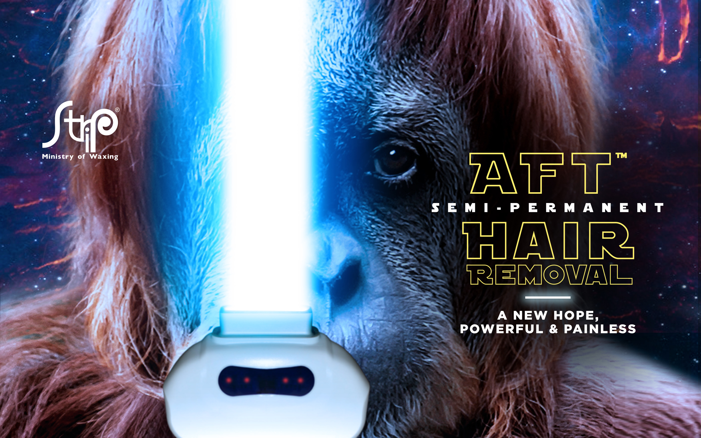 2800x1750px (laser monkeywebsite) Strip